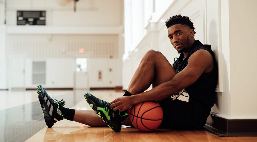 纷纷把焦点 纷纷把焦点